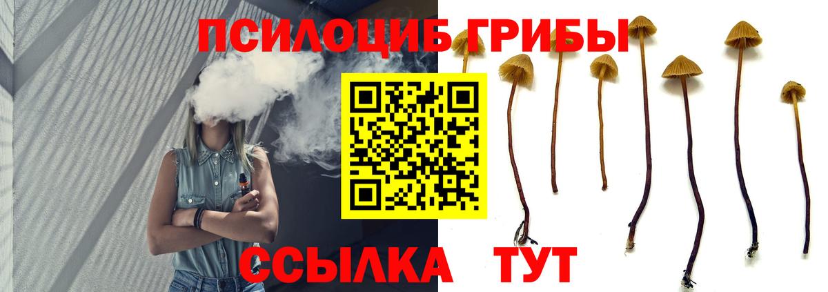 Псилоцибиновые грибы прущие грибы  где купить   Артём  Вход с VPN 